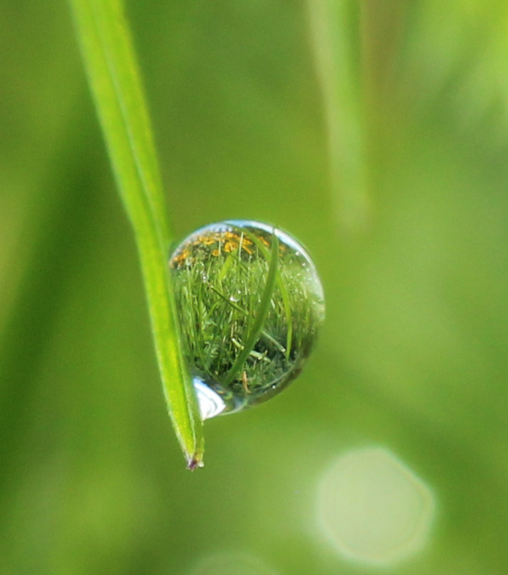 Wassertropfen