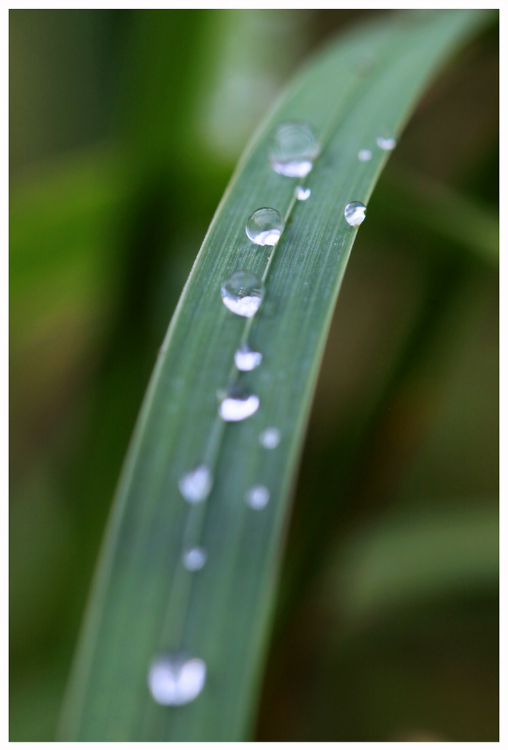 Wassertropfen