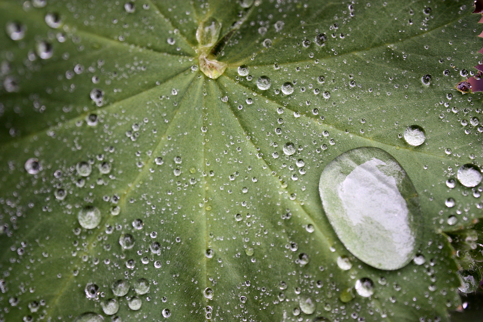 Wassertropfen gefunden............