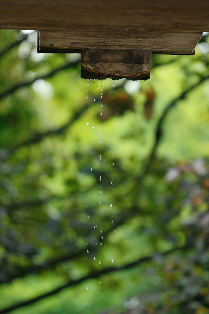 Wassertropfen, Hände, 