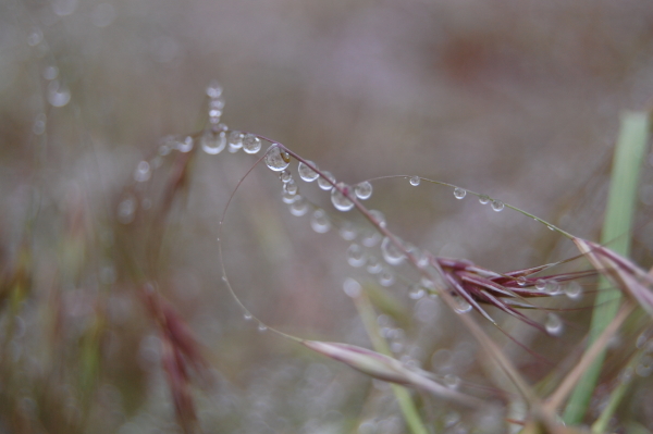 Wassertropfen II