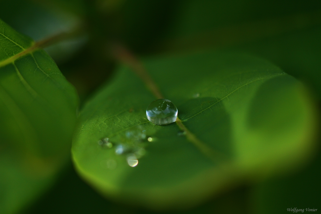 Wassertropfen II