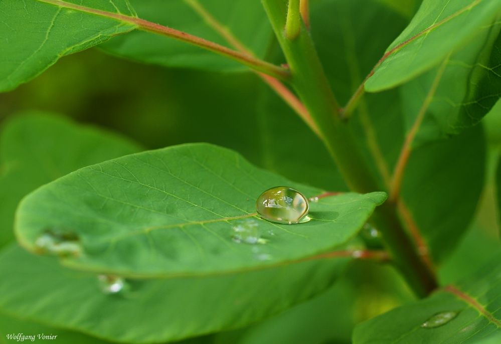 Wassertropfen III