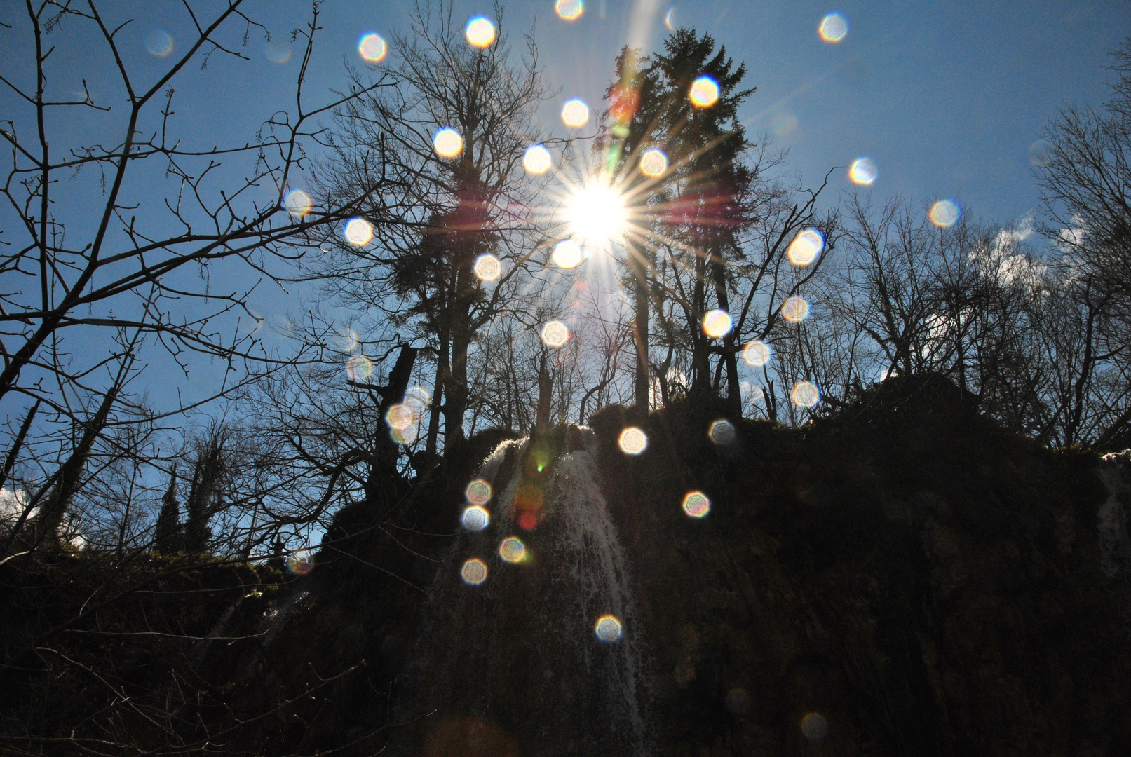 Wassertropfen im Gegenlicht