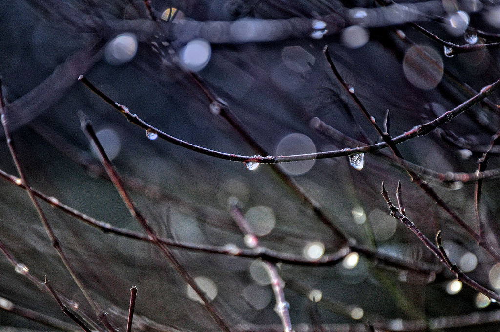 Wassertropfen im Herbst