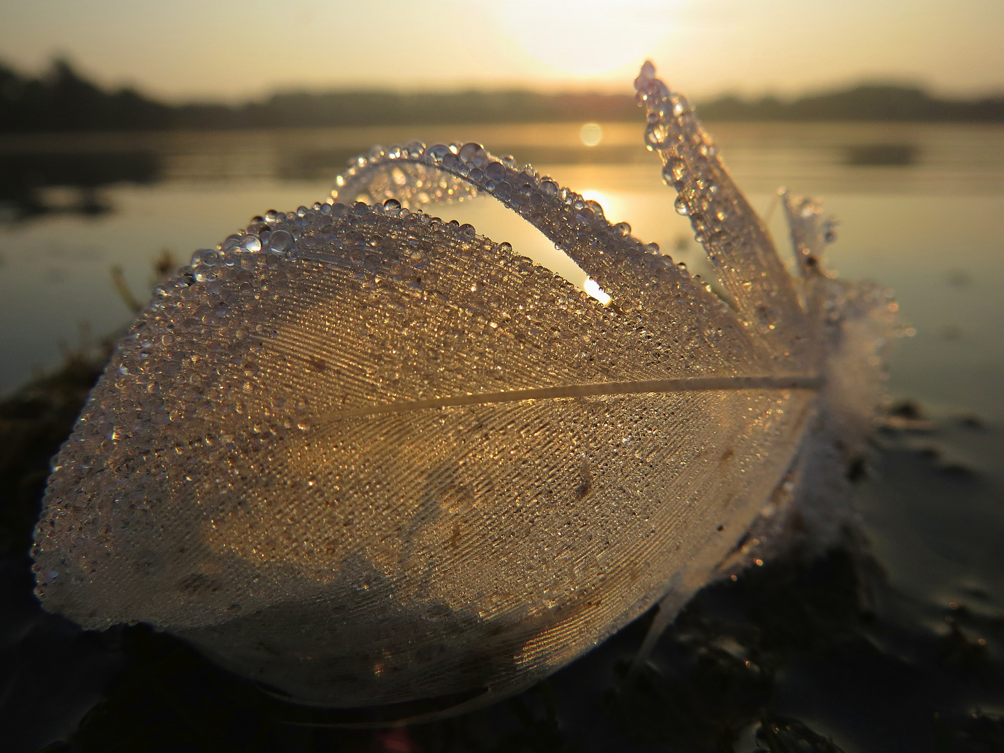 Wassertropfen im Licht