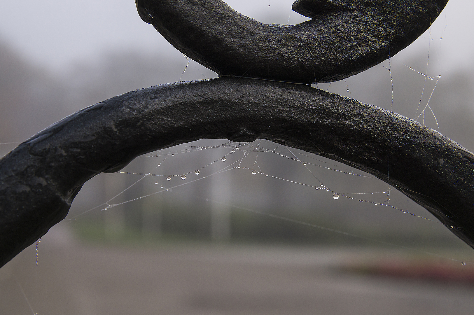 Wassertropfen im Nebel