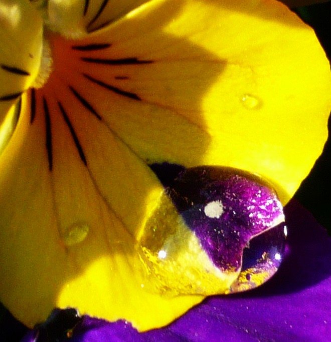 Wassertropfen im Sonnenschein