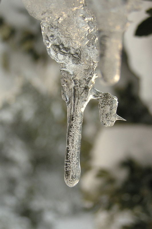 Wassertropfen im Winter