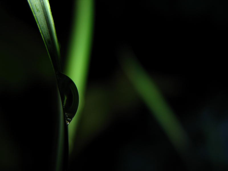 Wassertropfen in der Nacht