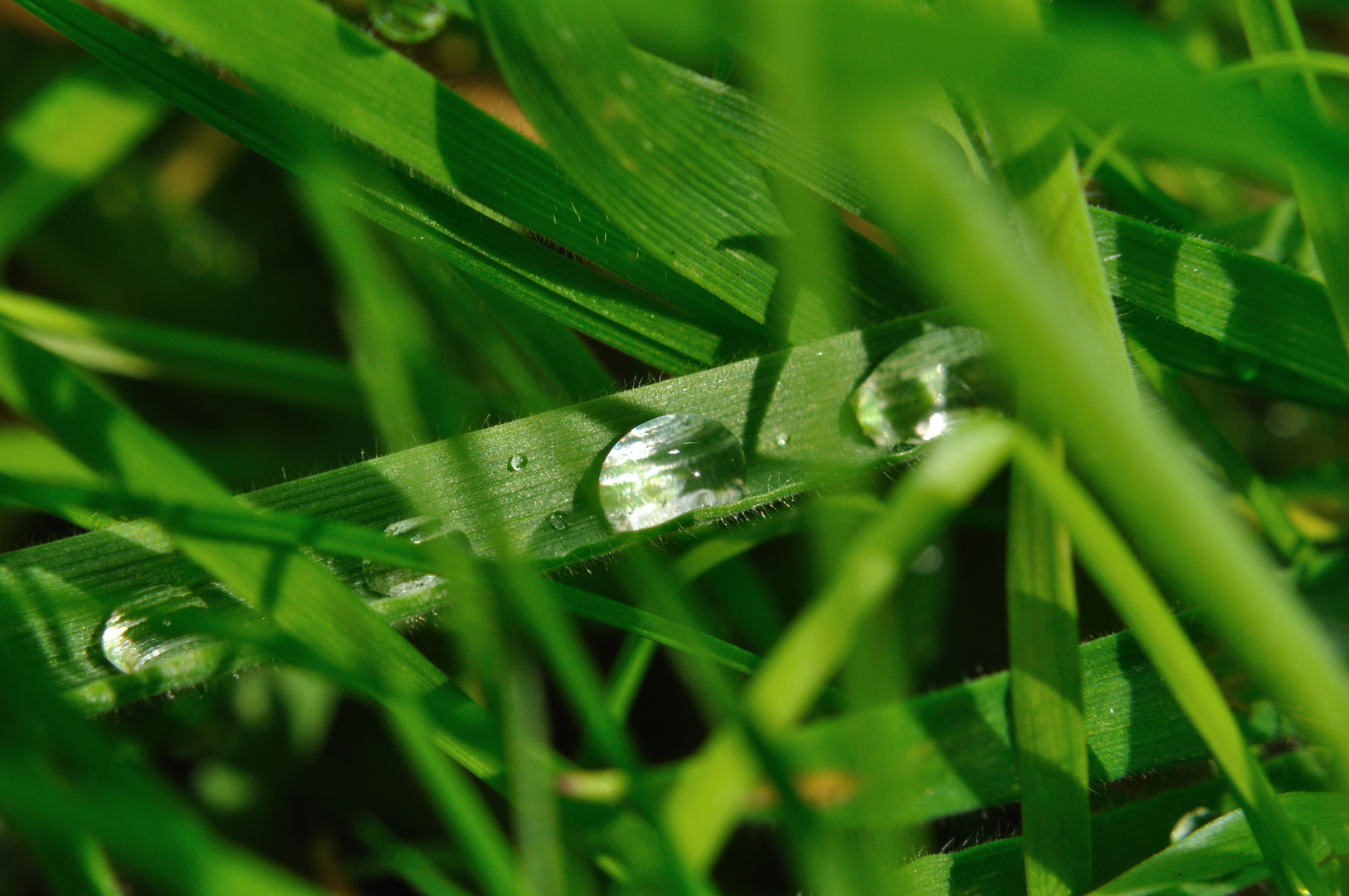 Wassertropfen in Reihe