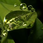 Wassertropfen Landschaft