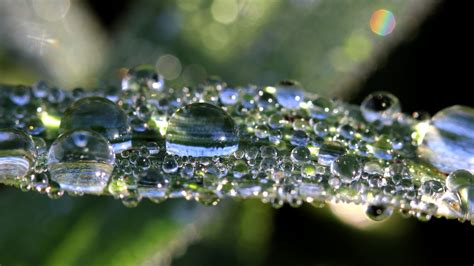 Wassertropfen makro