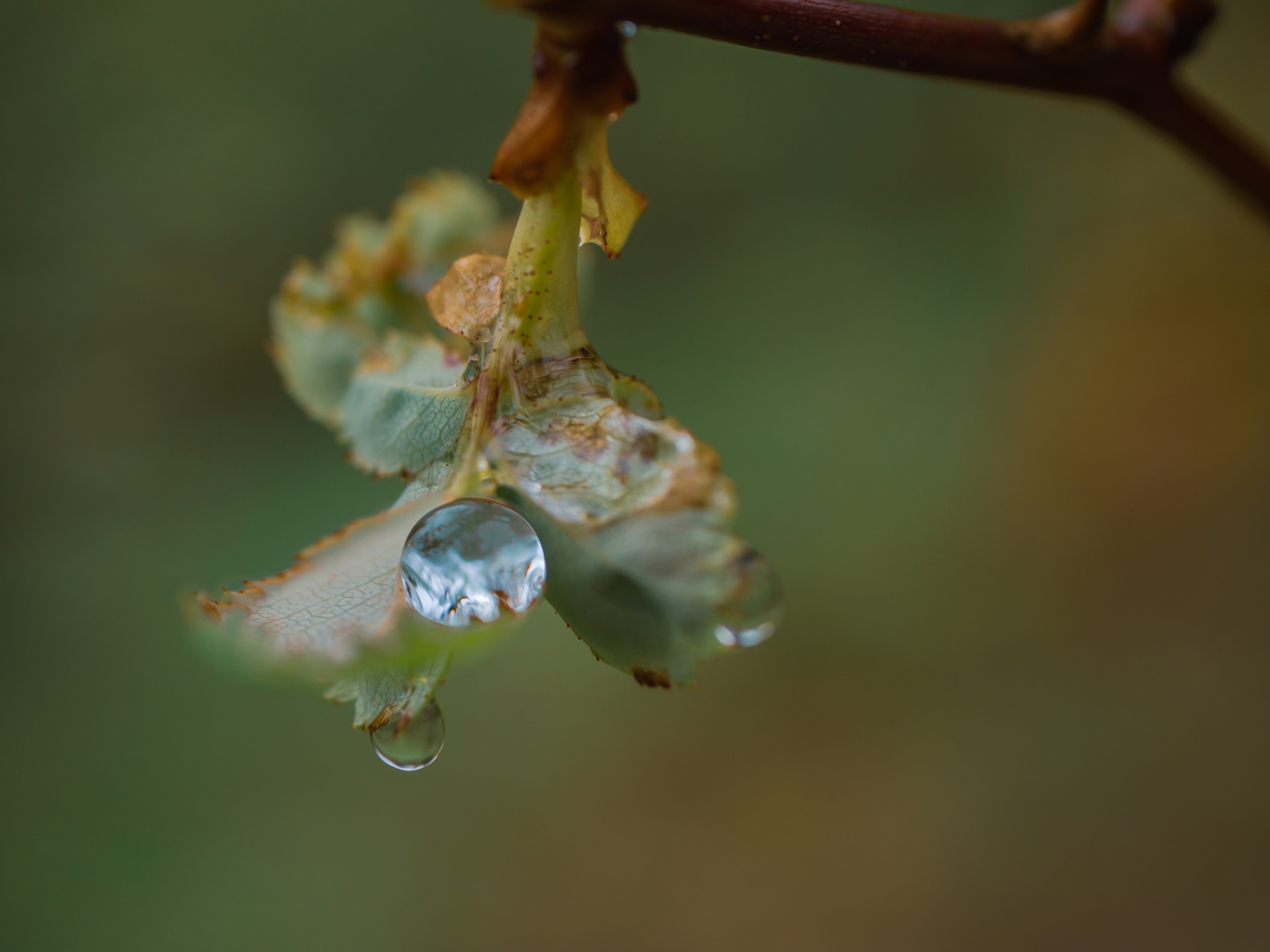 Wassertropfen mit Blick nach oben und mit Blick nach unten...