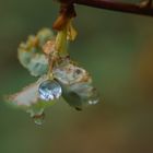 Wassertropfen mit Blick nach oben und mit Blick nach unten...