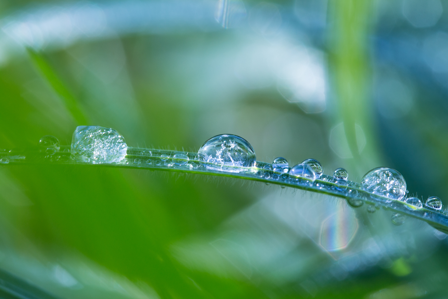 Wassertropfen mit Eiskristallen im Gras