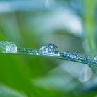 Wassertropfen mit Eiskristallen im Gras