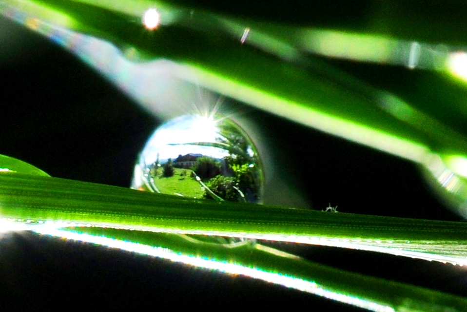 Wassertropfen mit Spiegelbild!