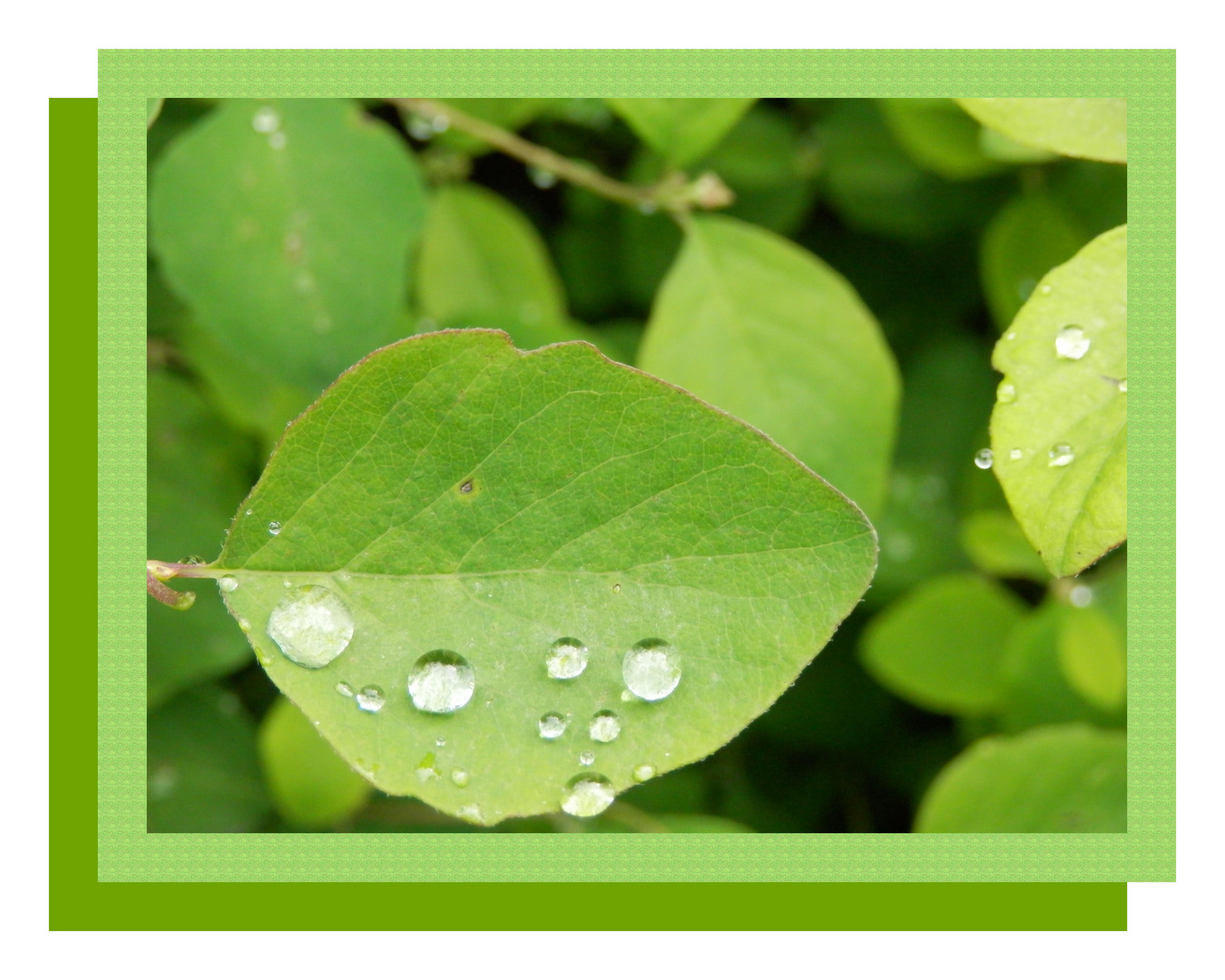 Wassertropfen oder Diamanten