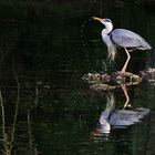 Wassertropfen-Spiel