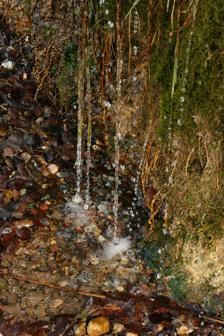 Wassertropfen Strand von Bisdamitz, Rügen