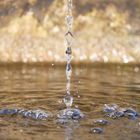 Wassertropfen stürzt sich mutig - ins Wasser