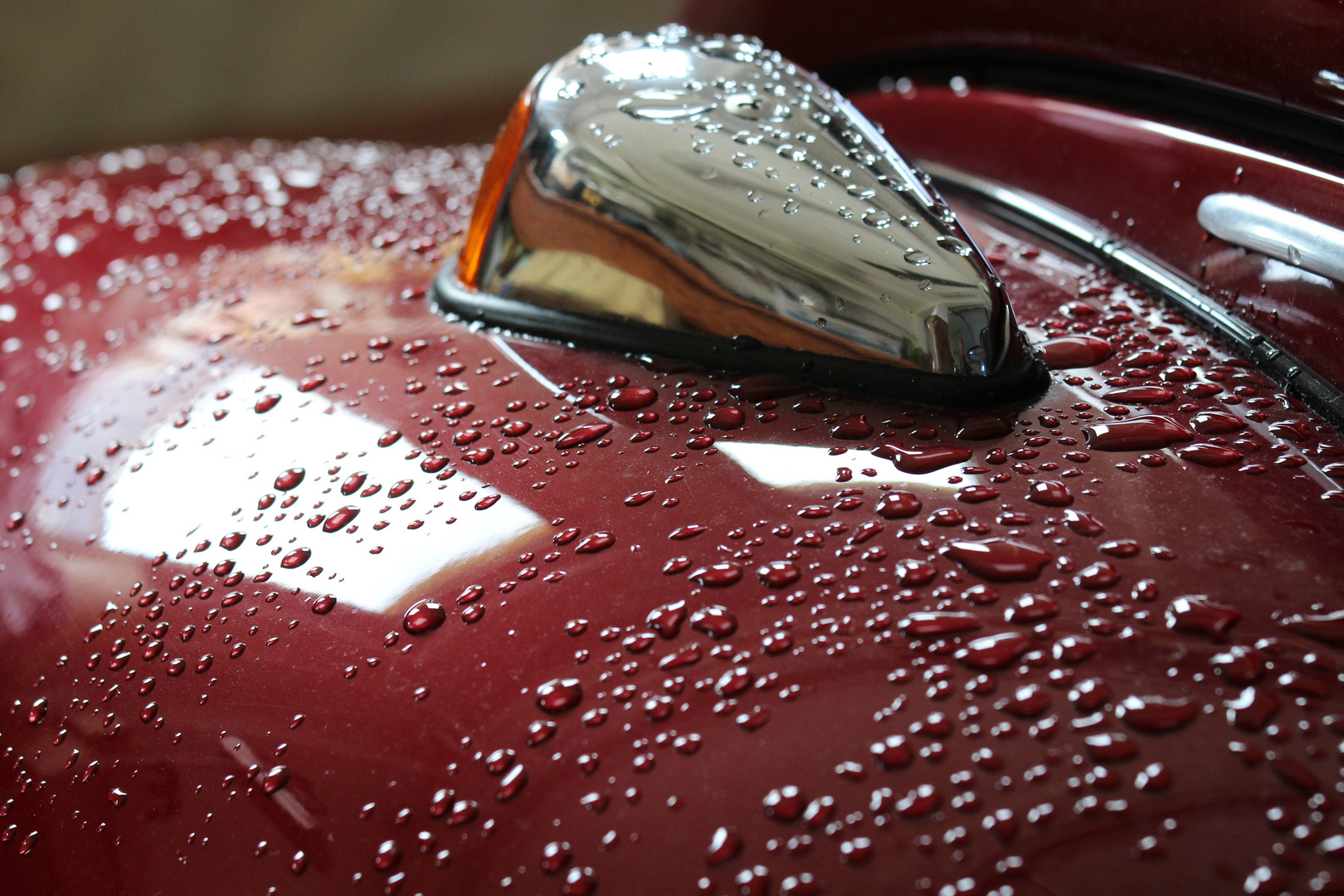 Wassertropfen und Spiegelung auf VW Käfer Kotflügel