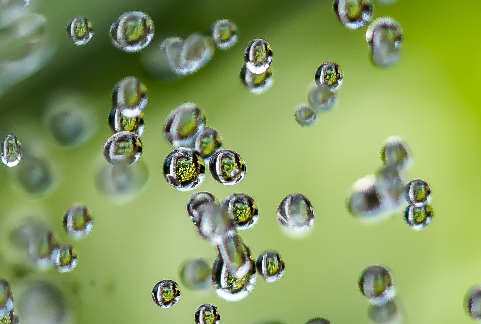 Wassertropfen von unserem Springbrunnen