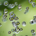 Wassertropfen von unserem Springbrunnen