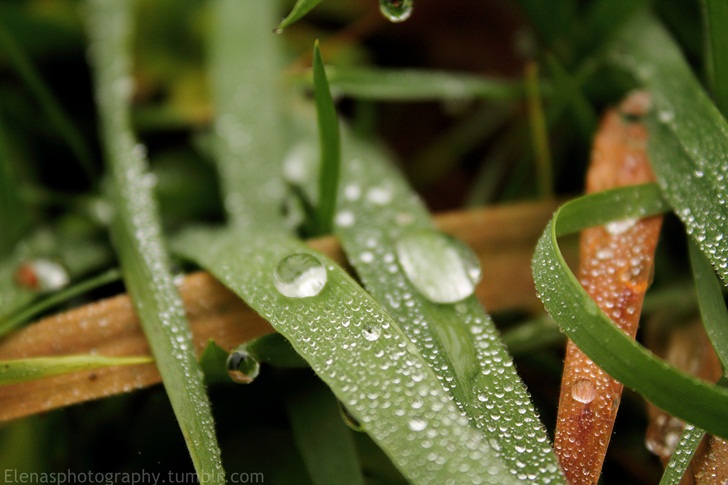 Wassertropfen - Waterdrop