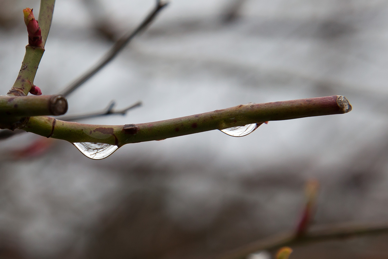 Wassertropfengruß an "Hatschy"