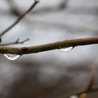 Wassertropfengruß an "Hatschy"