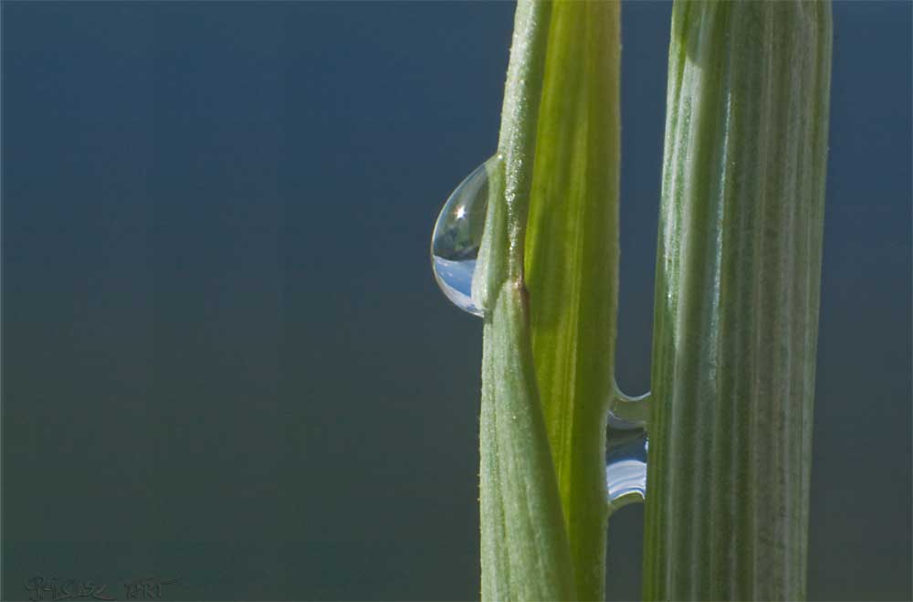 Wassertropfenverbindung