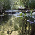 Wassertümpel auf Rügen