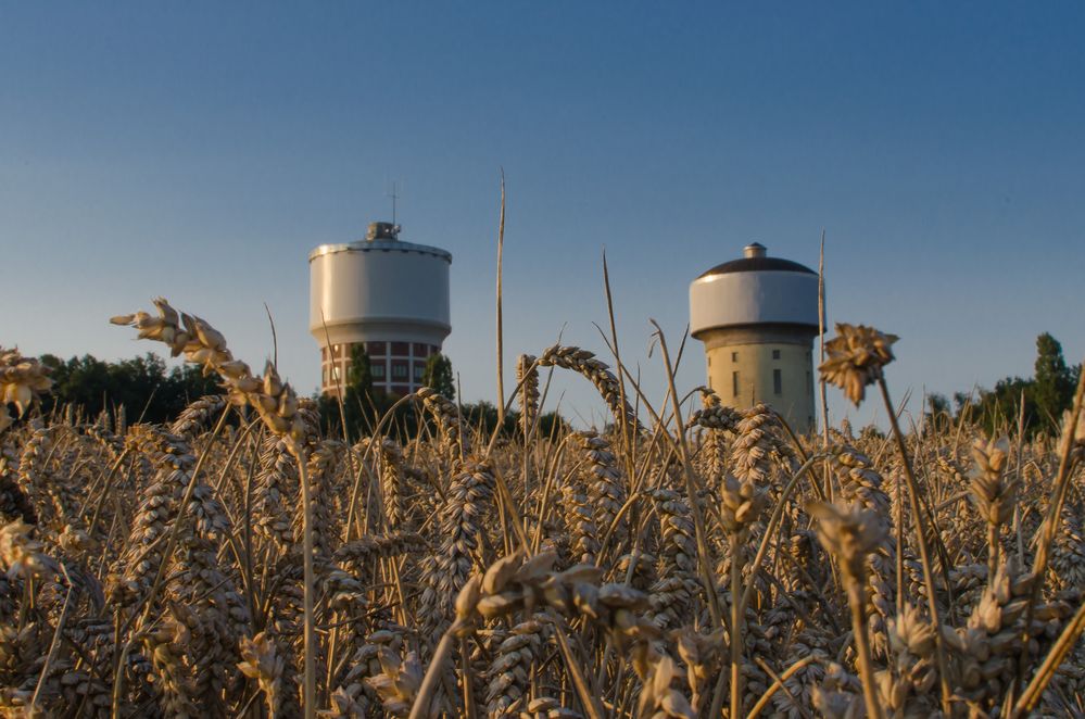 Wassertürme in Hamm Berge