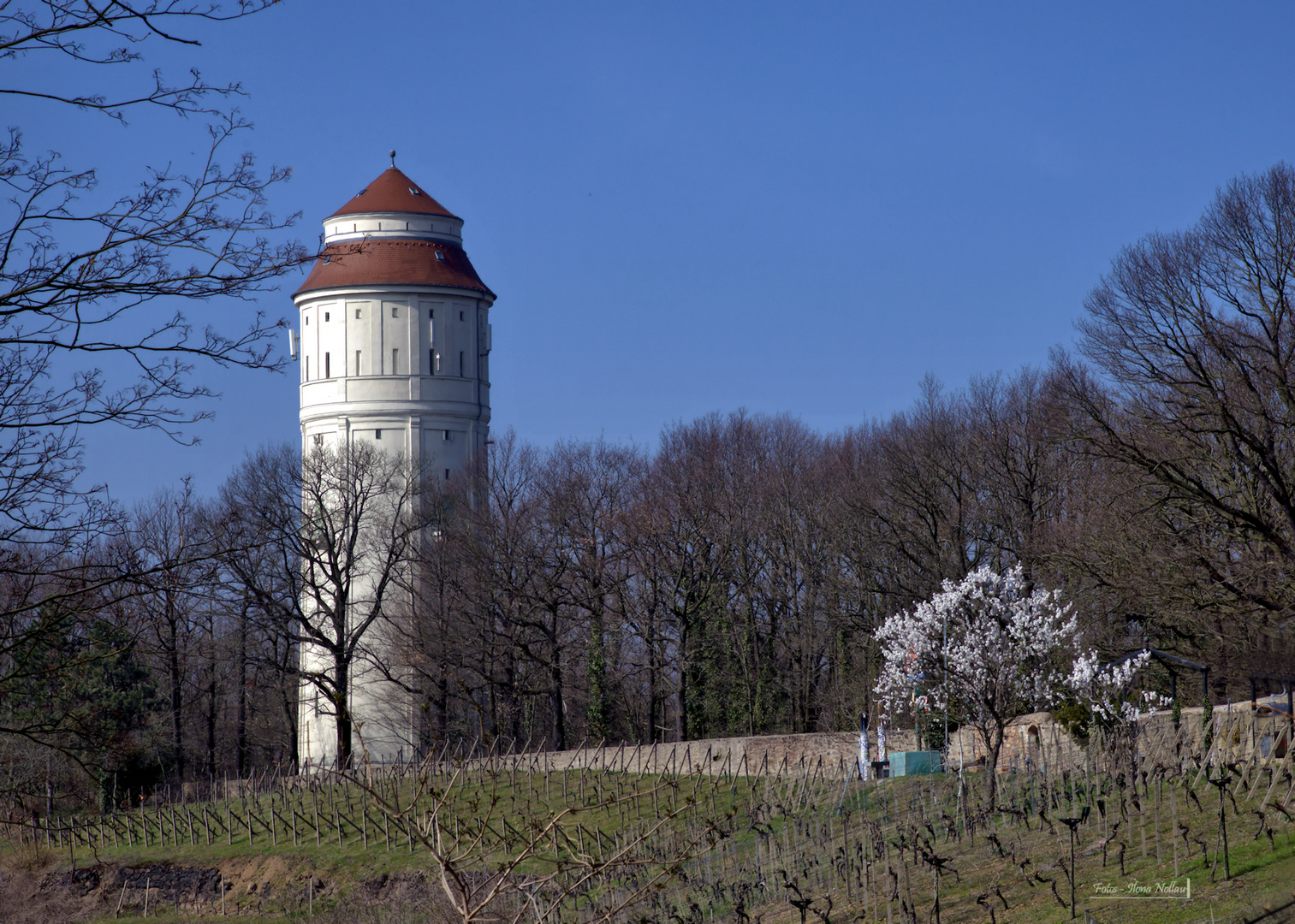 Wasserturm 