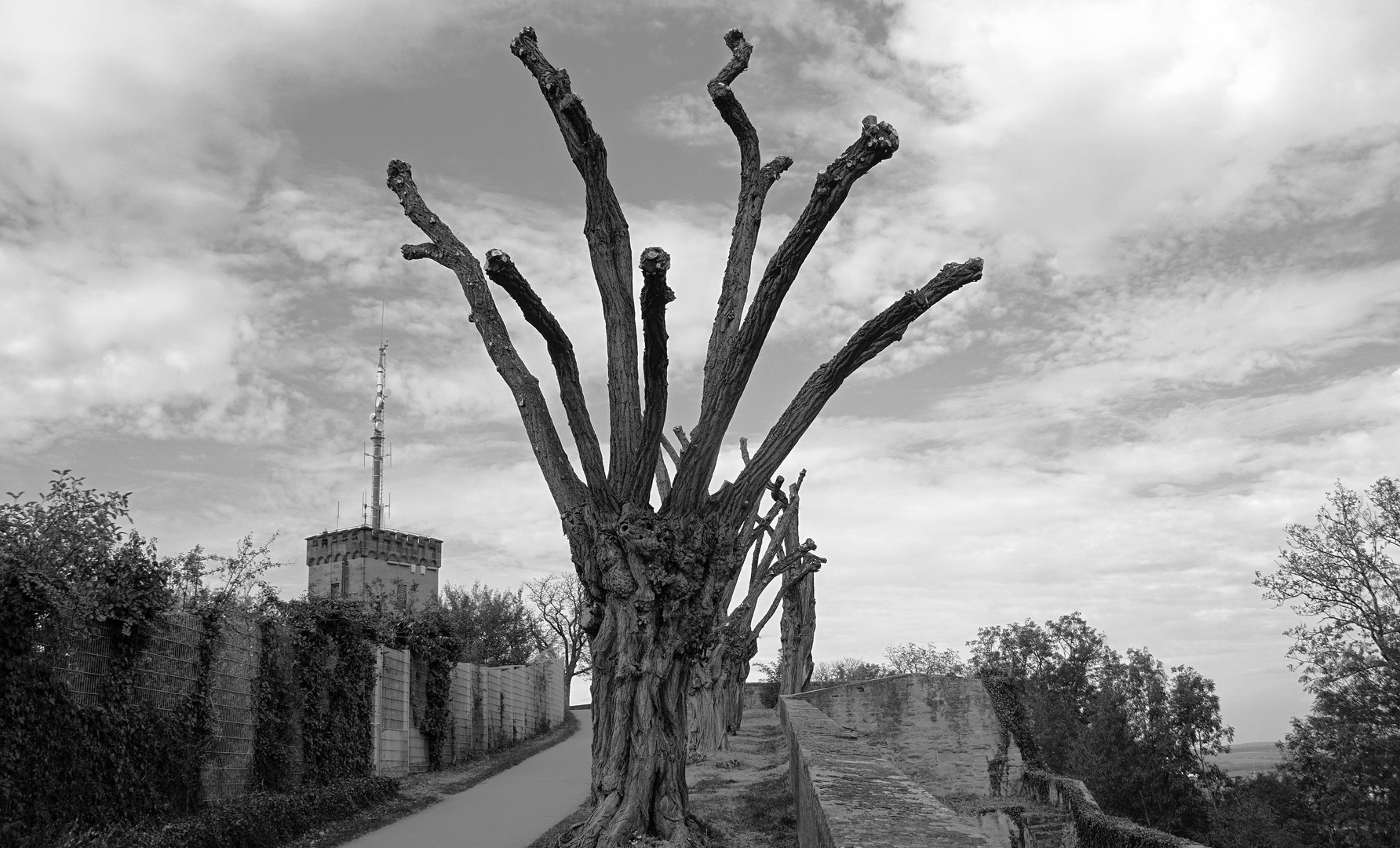 Wasserturm Hohenasperg sw