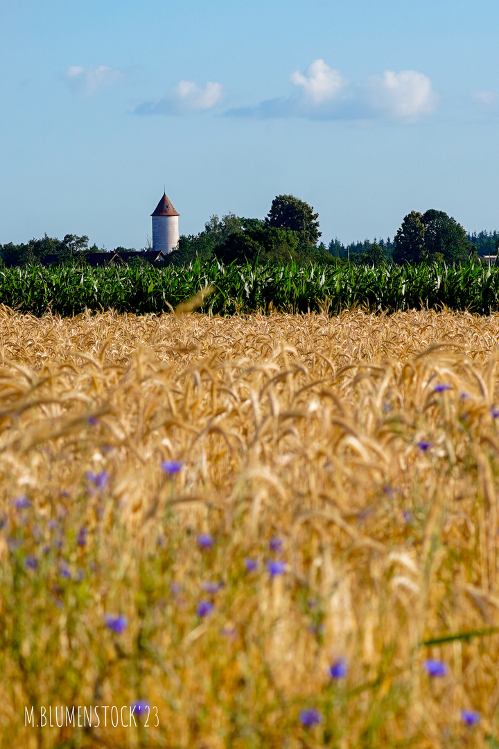 Wasserturm im Sommer