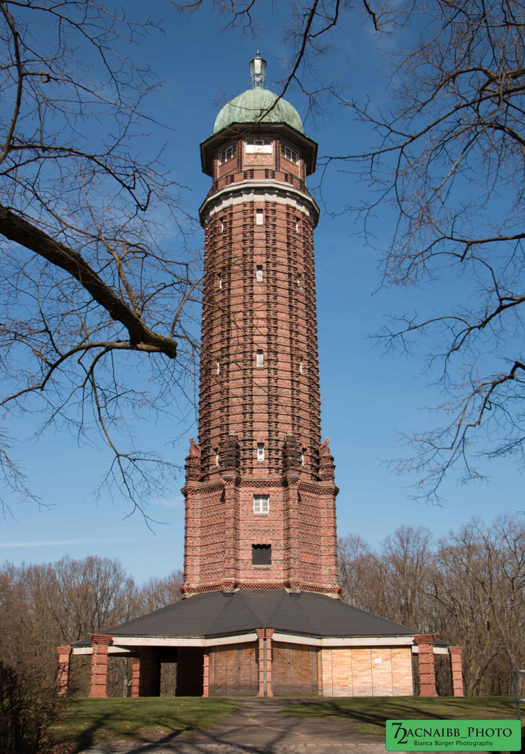 Wasserturm im Volkspark Jungfernheide