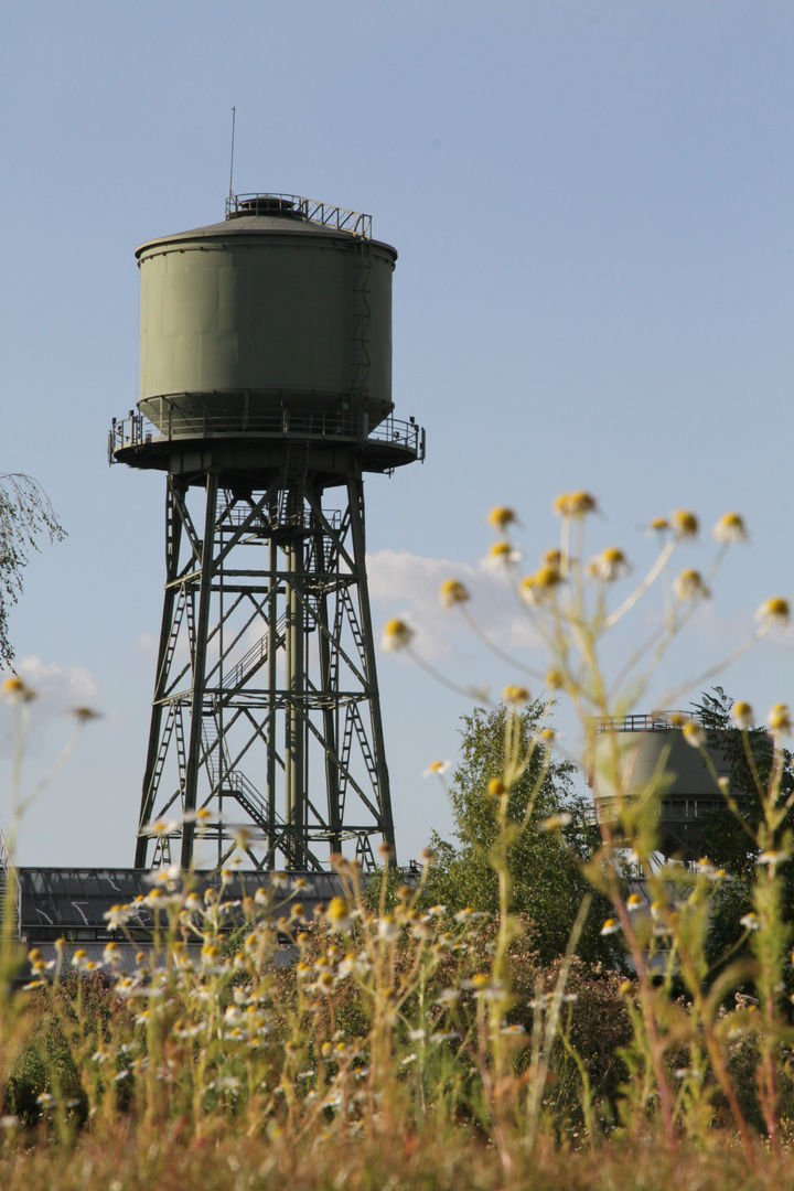 Wasserturm im Westpark