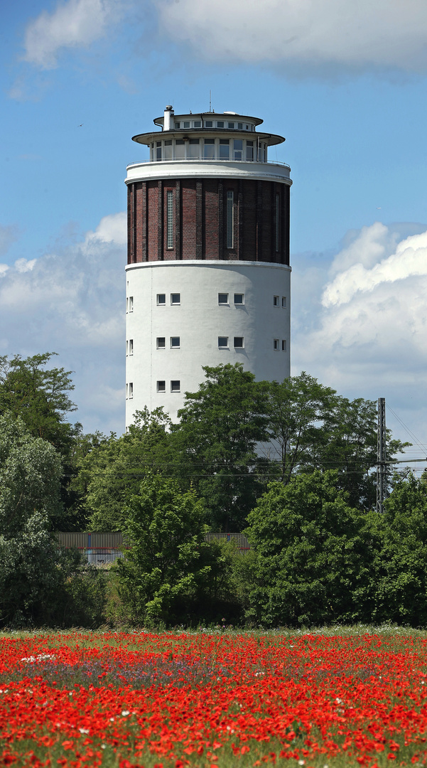 Wasserturm in der Kreisstadt Groß-Gerau - blühender Mohn