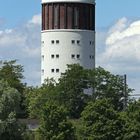 Wasserturm in der Kreisstadt Groß-Gerau - blühender Mohn