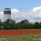 Wasserturm in der Kreisstadt Groß-Gerau - blühender Mohn