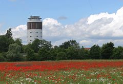 Wasserturm in der Kreisstadt Groß-Gerau - blühender Mohn