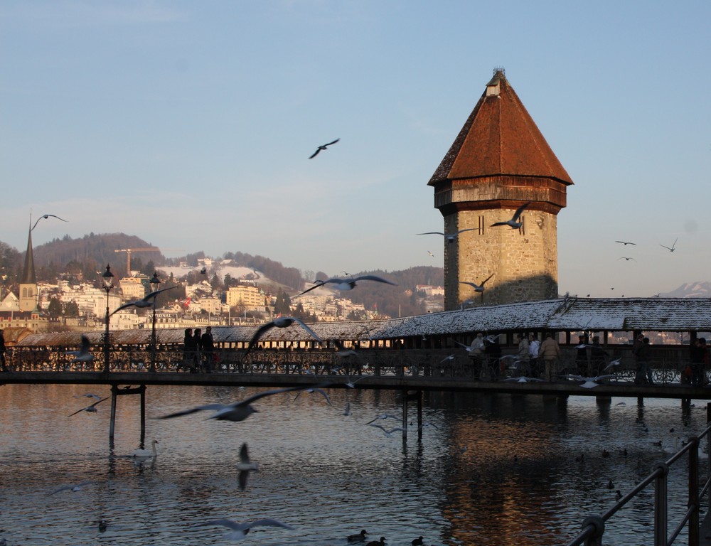 Wasserturm in Luzern