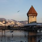 Wasserturm in Luzern