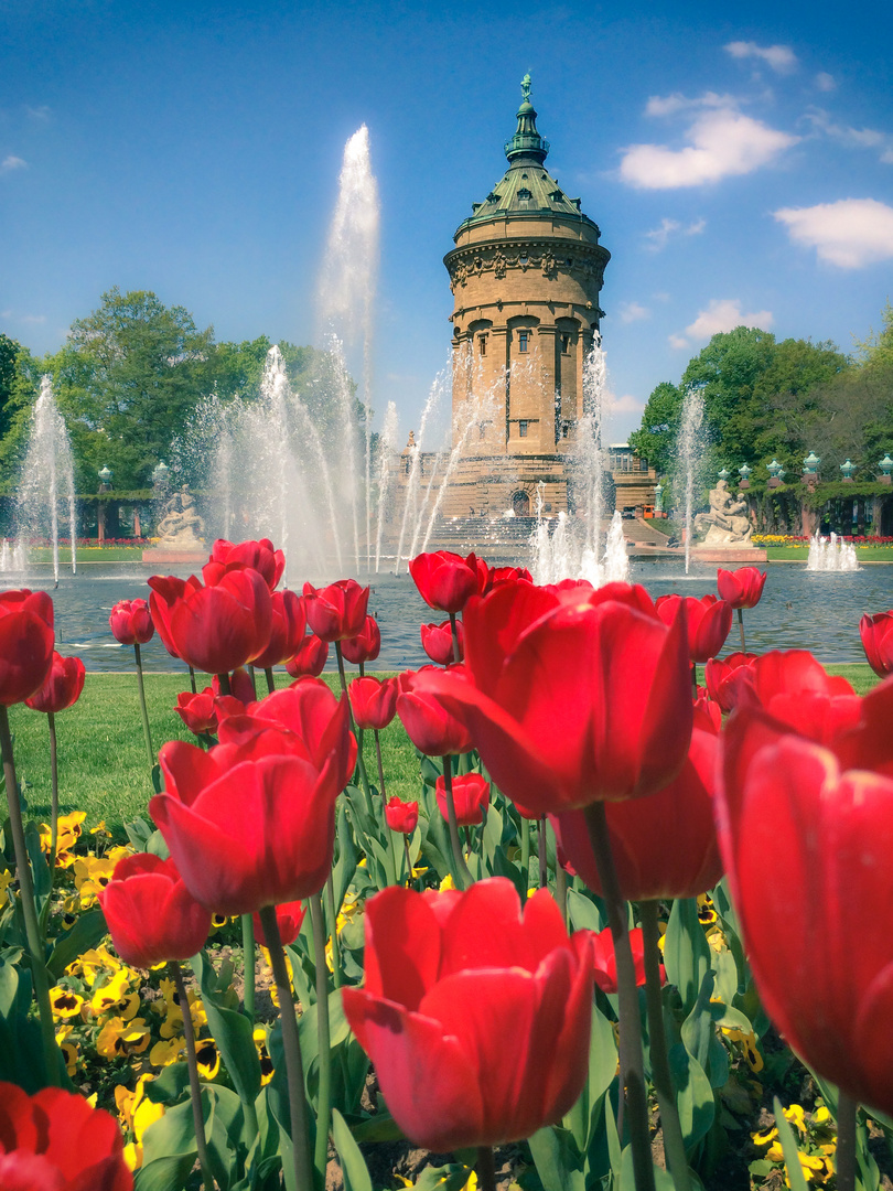 Wasserturm Mannheim