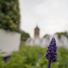 Wasserturm Mannheim