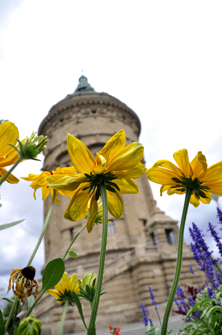 Wasserturm Mannheim