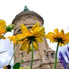 Wasserturm Mannheim